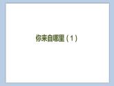 小學(xué)英語(yǔ)五年級(jí)下冊(cè)—Lesson 4 Where do you live？（第1課時(shí)） 課件（科普版）