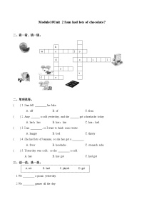 英语四年级下册Unit 2 Sam had lots of chocolates.习题