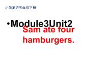 小学英语外研版 (三年级起点)五年级下册Module 3Unit 2 Sam ate four hamburgers.说课课件ppt