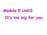 五年级英语下册课件-Module 5 Unit 2 It's too big for you①-外研版（三起）