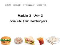 小学英语外研版 (三年级起点)五年级下册Module 3Unit 2 Sam ate four hamburgers.说课ppt课件