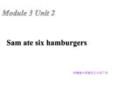 五年级英语下册课件-Module 3 Unit 2 Sam ate four hamburgers①-外研版（三起）