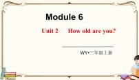小学英语外研版 (三年级起点)三年级上册Unit 2 How old are you?多媒体教学ppt课件