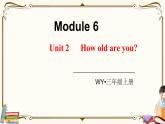 外研版 (三年级起点) 三年级上册英语——Module 6Unit 2【课件+音频素材】
