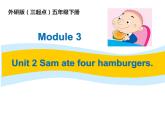 五年级英语下册课件-Module 3 Unit 2 Sam ate four hamburgers.216-外研版（三起）