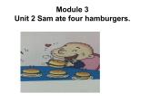 五年级英语下册课件-Module 3 Unit 2 Sam ate four hamburgers.249-外研版（三起）