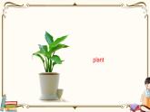 人教版 (PEP)五年级上册英语——unit 5  There is a big bepart A1课件PPT