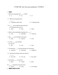 英语六年级下册Unit 2 Last weekend Part A综合训练题