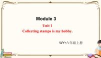 小学英语外研版 (三年级起点)六年级上册Unit 1 Collecting stamps is my hobby.评课课件ppt