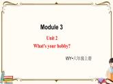 外研版 (三年级起点) 六年级上册英语——Module 3 Unit 2【课件+音频素材】