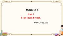 小学外研版 (三年级起点)Unit 2 I can speak French.教课内容课件ppt