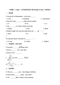 小学英语外研版 (三年级起点)四年级下册Unit 2 Sam had lots of chocolates.复习练习题