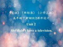 小学英语外研版 (三年级起点)五年级下册Unit 2 She didn't have a television.课前预习ppt课件