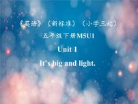 小学英语外研版 (三年级起点)五年级下册Unit 1 It's big and light.课堂教学ppt课件