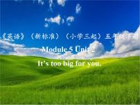 小学英语Module 5Unit 2 It's too big for you.背景图课件ppt