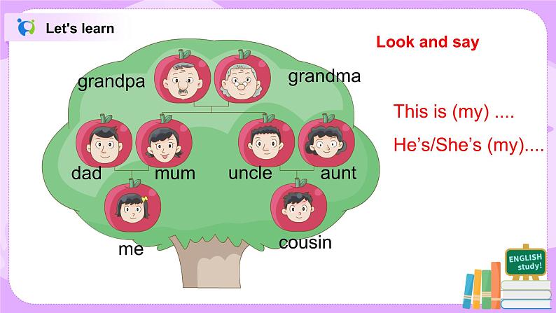 Unit 1 She's my aunt Period 4课件+教案+同步练习08