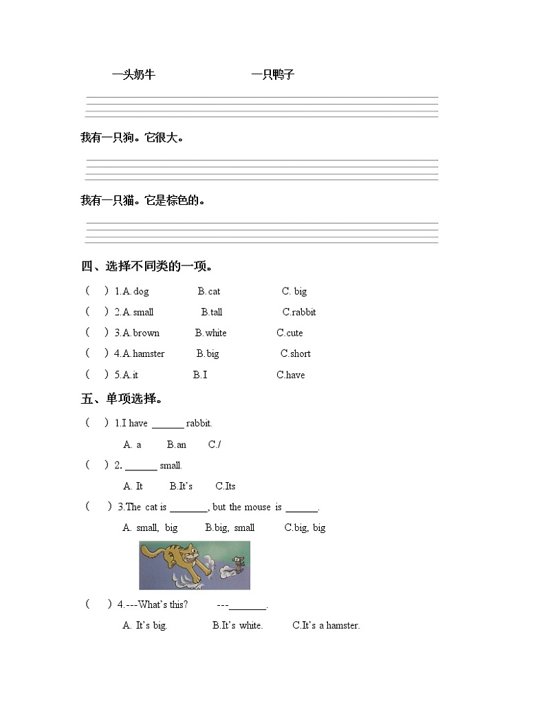 Unit 2 I have a rabbit Period 1课件+教案+同步练习02