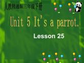 人教精通版英语三下 Unit5 It's a parrot.(Lesson25) 课件