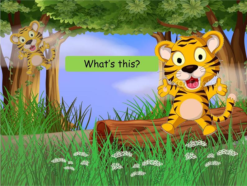 人教精通版英语三下 Unit5 It's a parrot.(Lesson29) 课件06