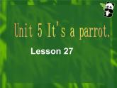 人教精通版英语三下 Unit5 It's a parrot.(Lesson27) 课件