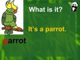 人教精通版英语三下 Unit5 It's a parrot.(Lesson27) 课件