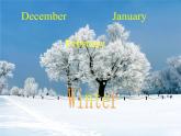 冀教版（三起）四下英語 U2L7 Months of the Year 課件