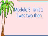 四年级英语下册课件-Module 5 Unit 1 I was two then.（1）-外研版（三起）