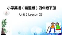 2020-2021学年Unit 5  What will you do this weekend?Lesson 28课文ppt课件