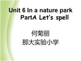 小学英语 人教（PEP）课标版 五年级上册 C Unit 6 In a narure park 课件