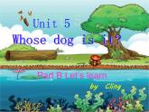 小学英语 人教（PEP）课标版 五年级上册 C unit5 Whose dog is it 课件