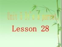 小学人教精通版Unit 5  It's a parrot.Lesson 28图片ppt课件