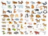 人教精通版小學(xué)英語五下 Fun time2 Fun Reading 課件
