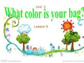 一年级下册英语课件－Unit3 What colour is you bag Lesson9 ｜北京课改版