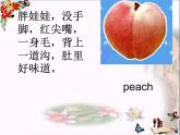 北师大版三下英语 Unit7 Fruits lesson1 课件