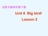 北师大版四下英语 Unit8 Talent show Lesson2 课件