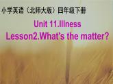 北师大版四下英语 Unit11 Illness Lesson2 课件