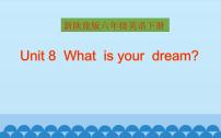 陕旅版六年级下册Unit 8 What's Your Dream？教学演示课件ppt