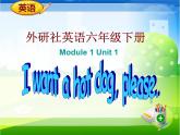 外研版（三起）小学英语六下 Module1 Unit1 I want a hot dog,please. 课件