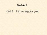外研版（三起）小学英语五下 M5 U2 It's too big for you. 课件