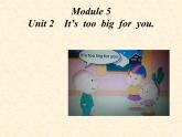 外研版（三起）小学英语五下 M5 U2 It's too big for you. 课件
