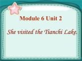 外研版（三起）小学英语五下 M6 U2 She visited the tianchi lake. 课件