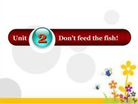 外研版 (一年级起点)四年级下册Unit 2 Don't feed the fish!教课ppt课件