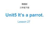 人教精通版英语三下 Unit5 It's a parrot.(Lesson27) 课件