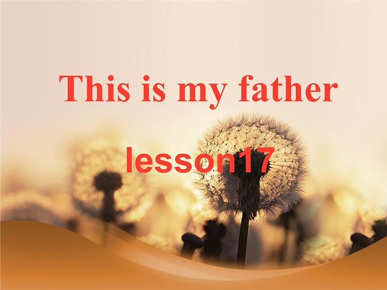 人教精通版英语三下 Unit3 This is my father.(Lesson17) 课件第1页