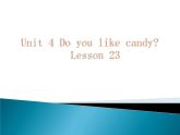 人教精通版英语三下 Unit4 Do you like candy？(Lesson23) 课件