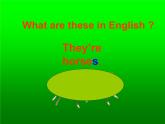 人教精通版小學(xué)英語(yǔ)四下 Unit6 Would you like to take a trip？(Lesson35) 課件