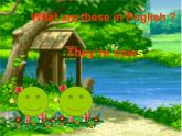 人教精通版小學(xué)英語(yǔ)四下 Unit6 Would you like to take a trip？(Lesson35) 課件
