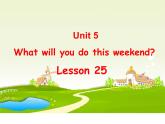 人教精通版小学英语四下 Unit5 What will you do this weekend？(Lesson25) 课件