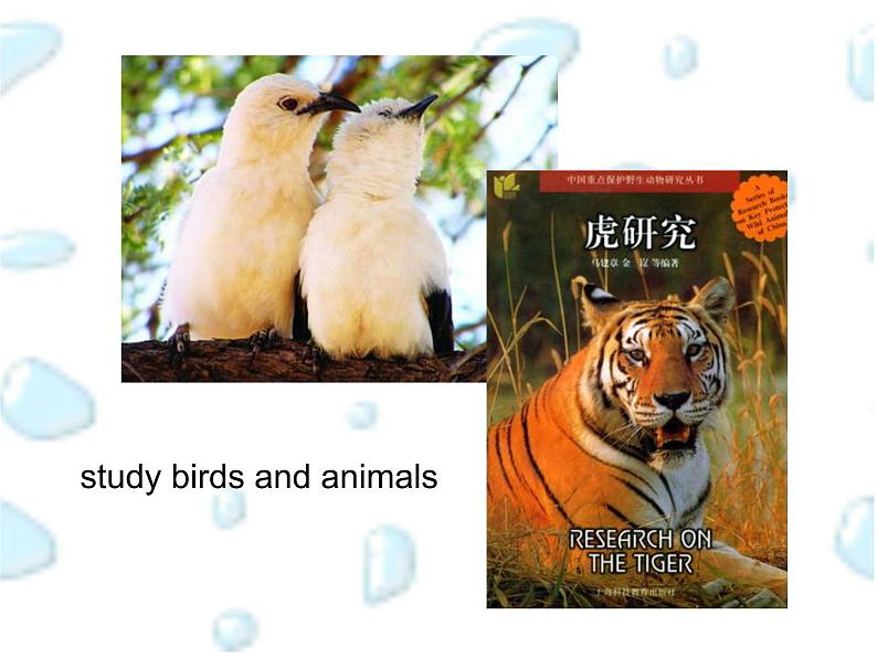 人教精通版小学英语四下 Unit3 What subject do you like best？(Lesson16) 课件04