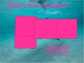 人教精通版小學(xué)英語四下 Unit6 Would you like to take a trip？(Lesson33) 課件